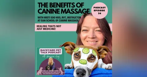 The Benefits of Canine Massage with Misti Soo Hoo, RVT