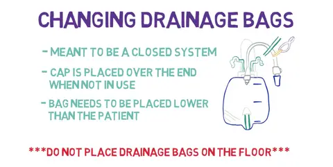 Catheterization and Catheter Care