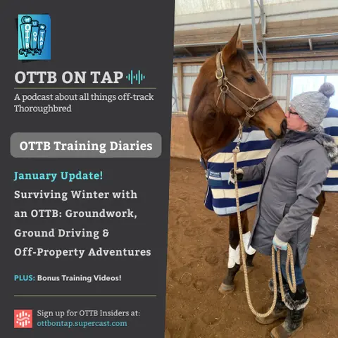 Bonus Ep! Surviving Winter with an OTTB: Groundwork, Ground Driving & Off-Property Adventures