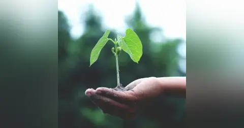 Prioritize Protection Without Sacrificing Growth: Your Retirement Game Plan