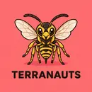 Wasps!