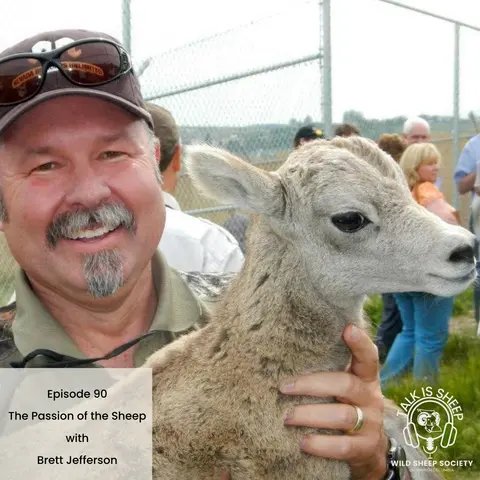 EP 90: The Passion of the Sheep with Brett Jefferson