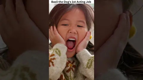 Basil the Dog's First Acting Job is Finally Out 🐶 🎬