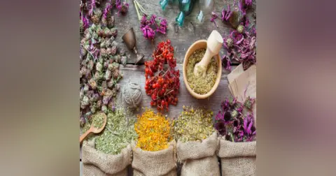 Jerry M. Kantor | Sane Asylums: The Success of Homeopathy Before Psychiatry Lost Its Mind