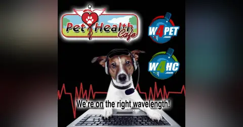 New Warnings on Sedation & Pet Health