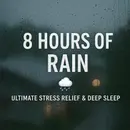 8 Hours of Rain Sound Relaxation | Ultimate Stress Relief & Deep Sleep 🌧️