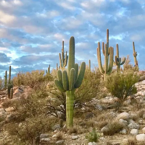 #166: Five More Phenomenal State Parks