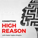 “Most Jews Are Zionists”? Rabbi Shapiro Forces Grok to Concede