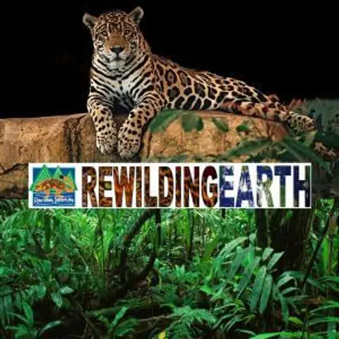 Episode 17: Mark Fisher on Rewilding Drift in Europe