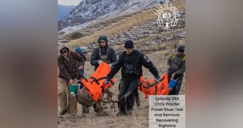 Fraser River Test and Remove: Recovering Bighorns with Chris Procter