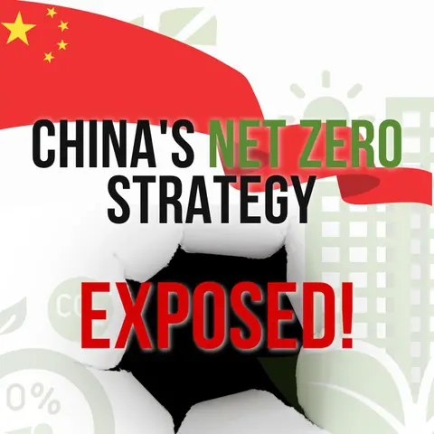 China Loves Net Zero But not for the Reasons You Think