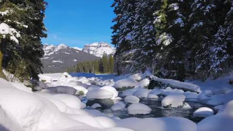 Sleep Sounds of Nature featuring Calming Water White Noise
