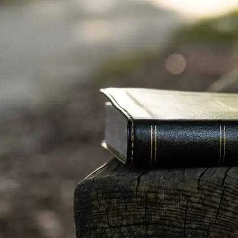 Biblical Interpretation