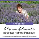 22:  5 Species of Lavender - Botanical Names Explained!