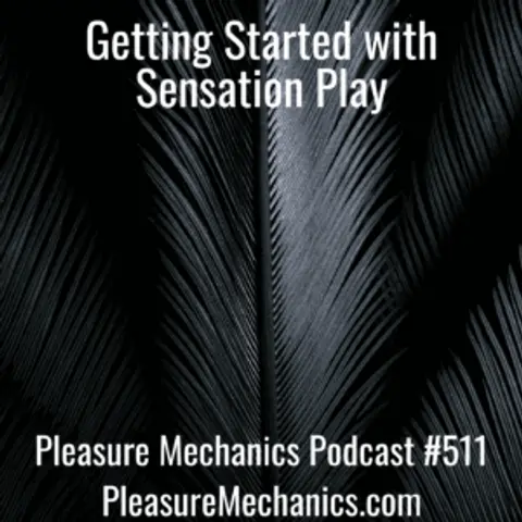 Getting Started with Sensation Play