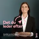 Camilla Lercke Odgaard: om kriseberedskab, kommunikation og kultur