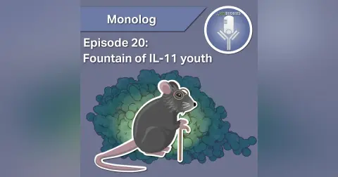 Monolog 20 - The Fountain of IL-11 Youth