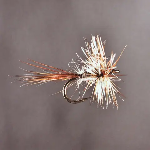 A Fly Fisher’s Revelations: Nick Lyons and Judy Van Put on Ed’s Final Book