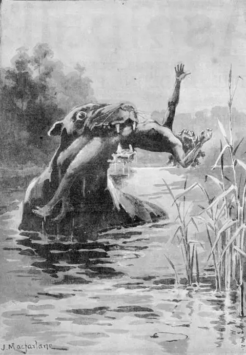 Cryptids
