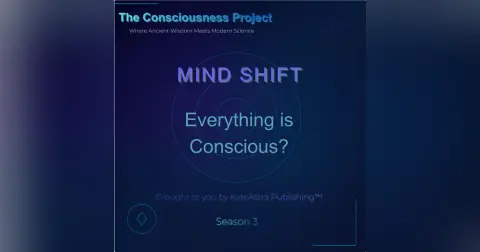 Everything is Conscious?
