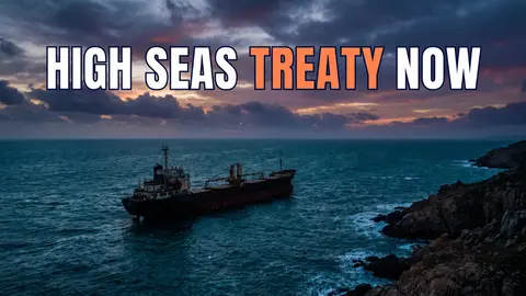 The High Seas Treaty Is Law Now. Here's How We Got Here.
