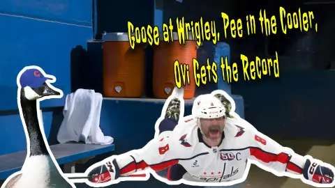 A Goose Takes Over Wrigley, HS Player Pees in Cooler?!, Budweiser Shades Ovechkin