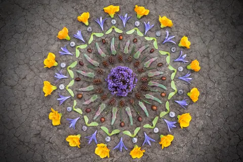 Embracing the Power of Ritual and Sacred Moments with Author Day Schildkret