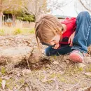 Looking For Nature