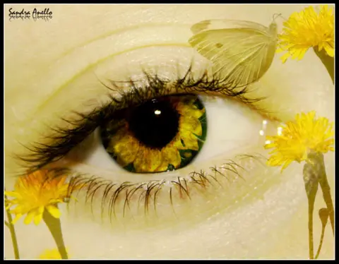 Just Open Your Eyes