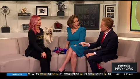 CBS NY Jan 6th 2023 Dawn Wolfe of Pawsitively Famous