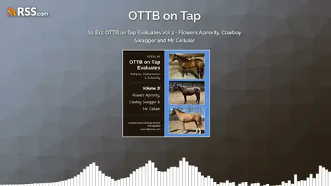 S2 E11: OTTB on Tap Evaluates Vol 3 - Flowers Apriority, Cowboy Swagger and Mr. Cellular