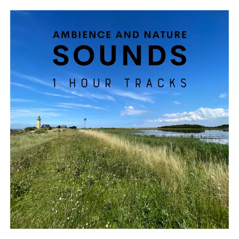 Ambience: Bird sounds from Omø, Denmark (1 hour)