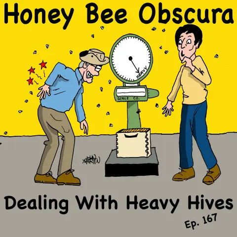 Dealing With Heavy Hives with Anne Frey (167)