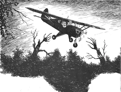 Pilot’s Delight