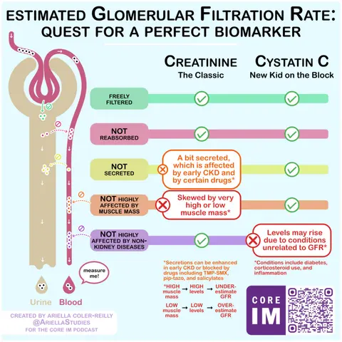 #139 CKD Staging (Cr vs. Cystatin C, Albuminuria & more): Mind The Gap Segment