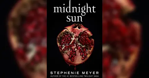 Midnight Sun Chapter by Chapter Summary