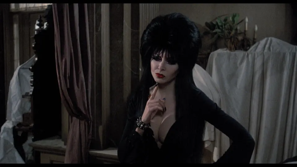 Elvira-Film-Still-143.png Elvira Mistress of the Dark film still