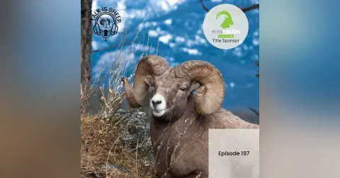 Only Rams with Greg Rensmaag and Kyle Stelter