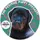 The Positive Puppy Podcast