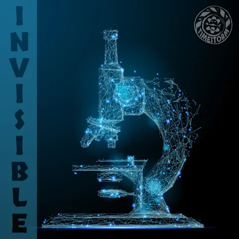Episode 9: Invisible