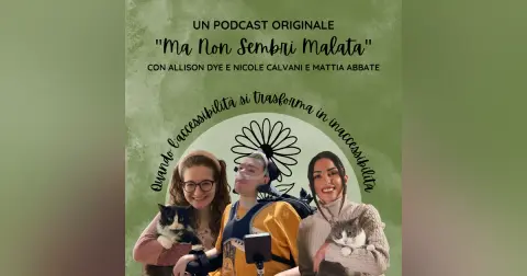 Quando l’accessibilità si trasforma in inaccessibilità