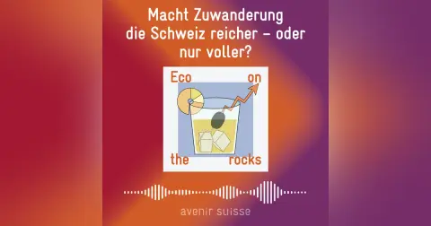 Macht Zuwanderung die Schweiz reicher – oder nur voller?