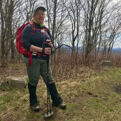 Bramley Mountain Fire Tower