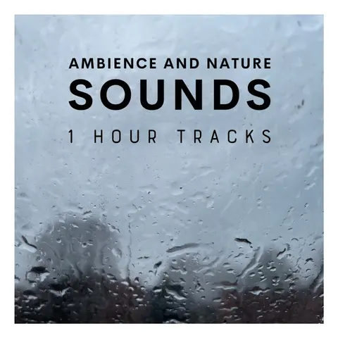 Sounds from a rainy evening in Denmark (1 hour)