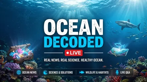 Coral Trafficking Is Booming, Hear About Shark Scientist Carlee Jackson, and Inside Shark Nursery