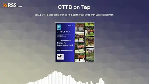 Ep 44: OTTB Bloodline Trends for Sporthorses 2024 with Jessica Redman