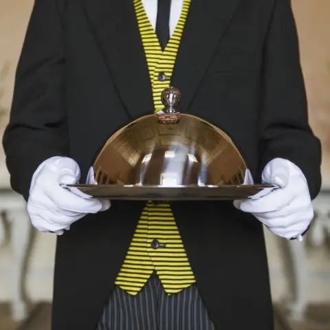 Professional Servants