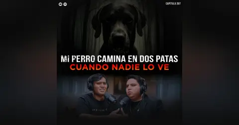 Historias Perturbadoras de Animales Extraños: Mi Perro Camina en 2 Patas cuando Nadie lo ve