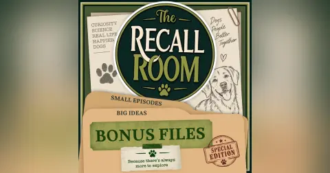 Quick Recall: The Dog Facts You Probably Have Wrong