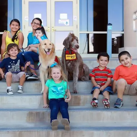 Helper Dogs